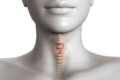 World Thyroid Day: Mostly People Suffer From Thyroid Disorders
